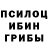 Псилоцибиновые грибы MAGIC MUSHROOMS Rizky Fathir