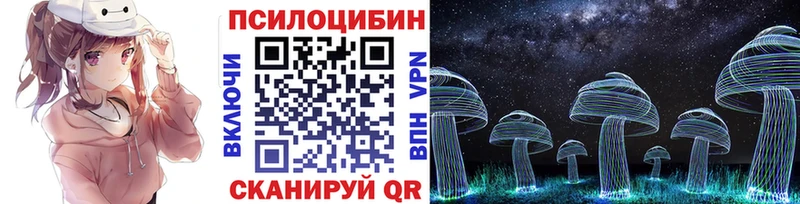 OMG   площадка какой сайт  Галлюциногенные грибы мухоморы  Тогучин 